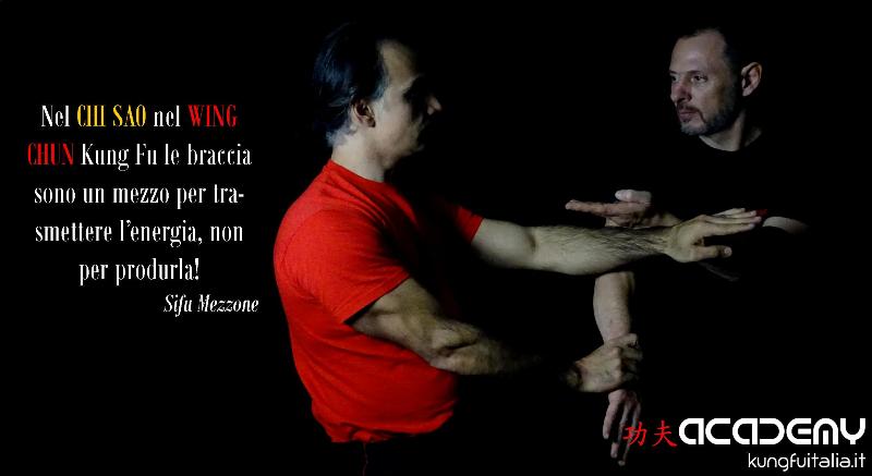 Kung Fu Academy Caserta di Sifu Salvatore Mezzone Accademia di Wing Chun e Tai Chi Quan (1)